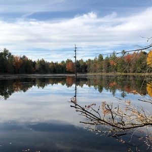 Meet your Posher, Matt